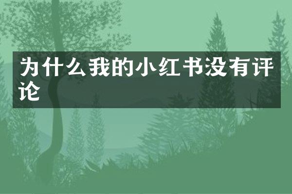 为什么我的小红书没有评论