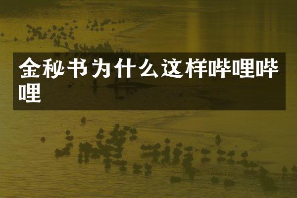 金秘书为什么这样哔哩哔哩