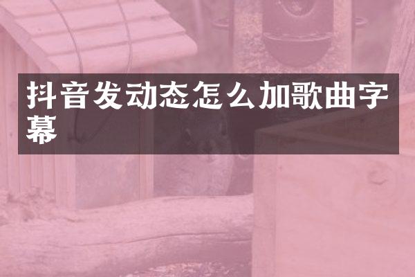 抖音发动态怎么加歌曲字幕