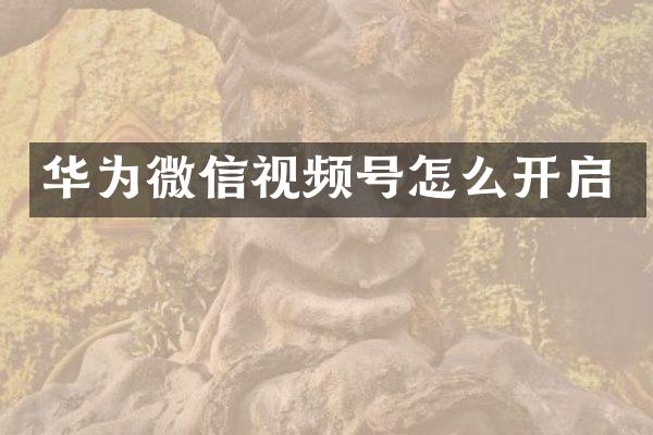 华为微信视频号怎么开启