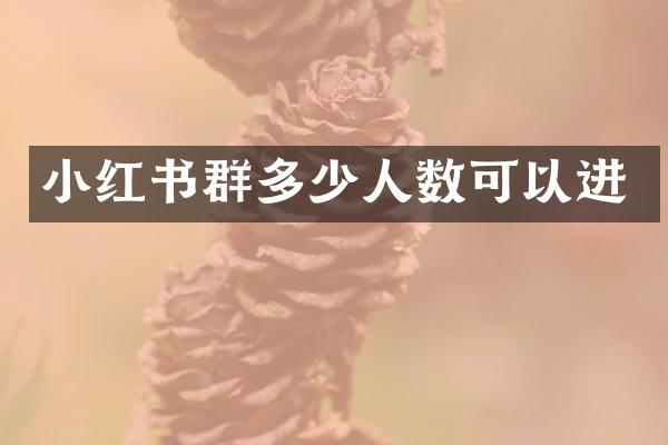 小红书群多少人数可以进