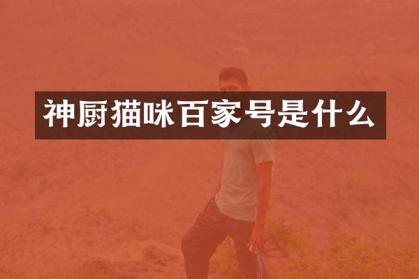 神厨猫咪百家号是什么