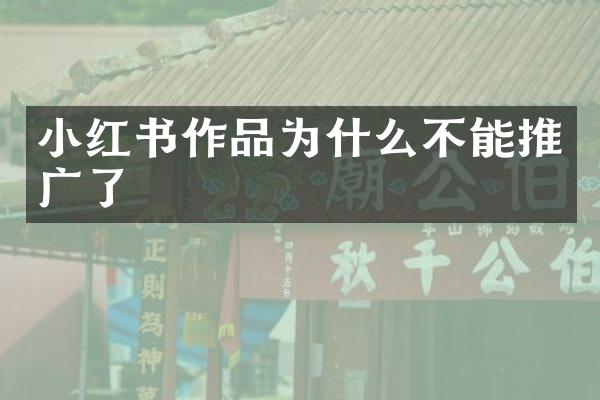 小红书作品为什么不能推广了