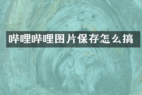 哔哩哔哩图片保存怎么搞
