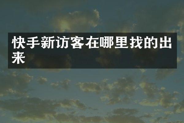 快手新访客在哪里找的出来