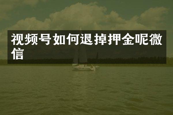 视频号如何退掉押金呢微信