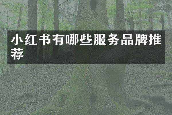 小红书有哪些服务品牌推荐