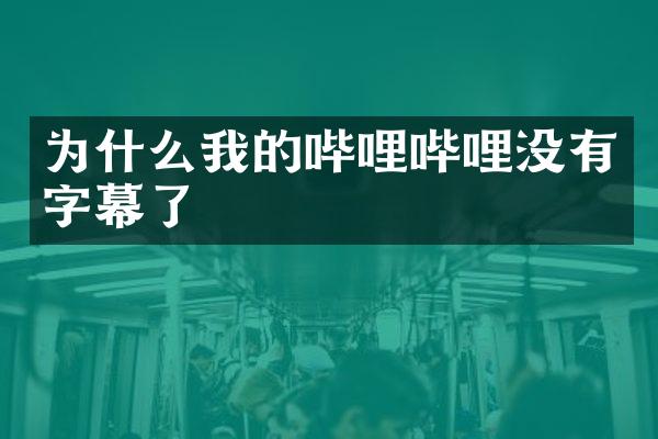 为什么我的哔哩哔哩没有字幕了