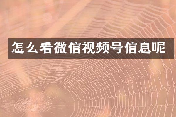 怎么看微信视频号信息呢