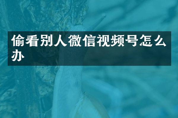偷看别人微信视频号怎么办