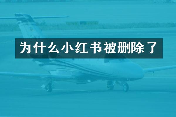 为什么小红书被删除了