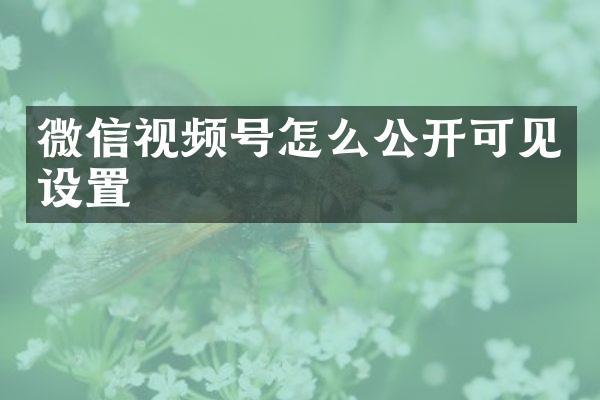 微信视频号怎么公开可见设置