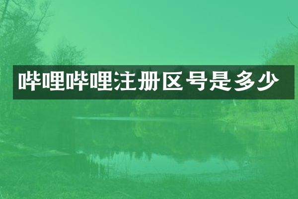 哔哩哔哩注册区号是多少