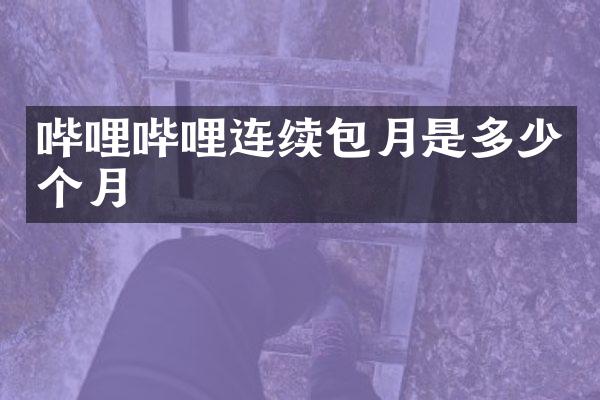 哔哩哔哩连续包月是多少个月