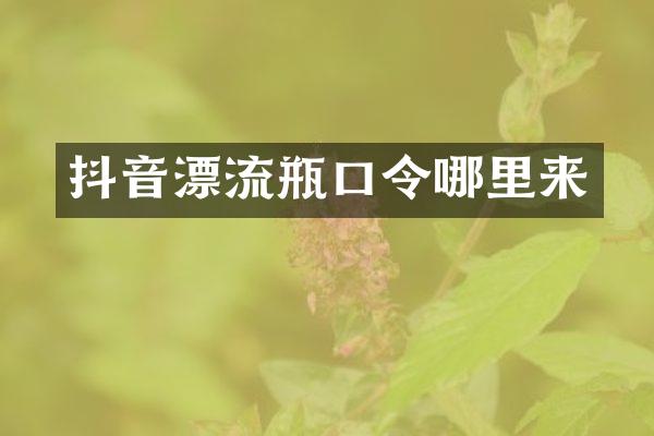抖音漂流瓶口令哪里来