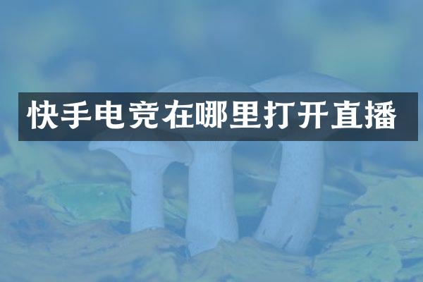 快手电竞在哪里打开直播