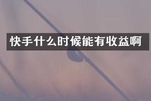 快手什么时候能有收益啊
