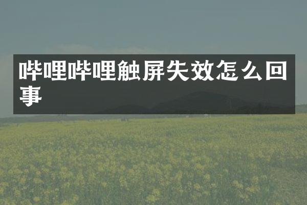 哔哩哔哩触屏失效怎么回事