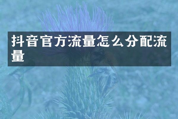 抖音官方流量怎么分配流量