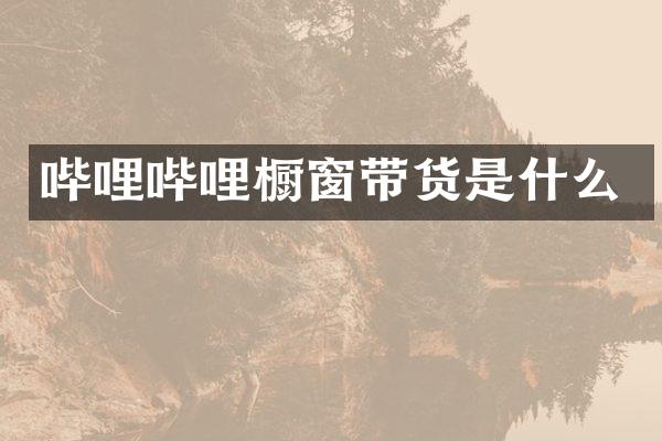 哔哩哔哩橱窗带货是什么