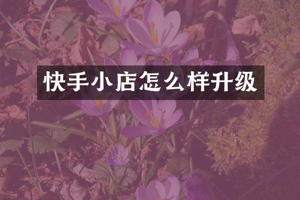 快手小店怎么样升级
