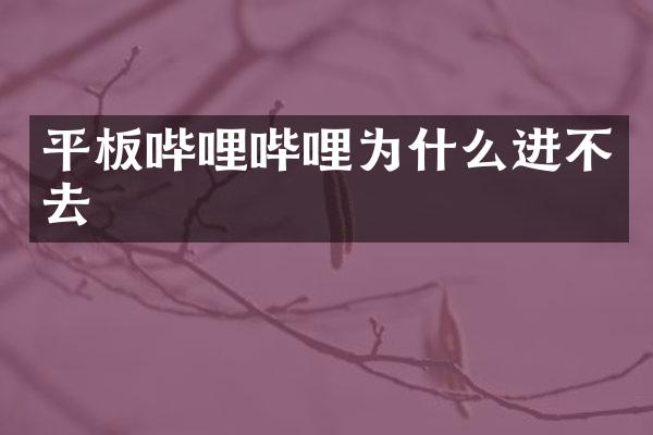 平板哔哩哔哩为什么进不去