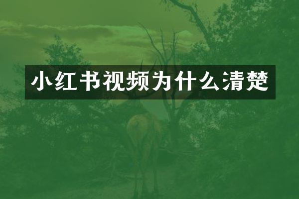 小红书视频为什么清楚