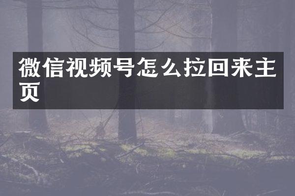 微信视频号怎么拉回来主页
