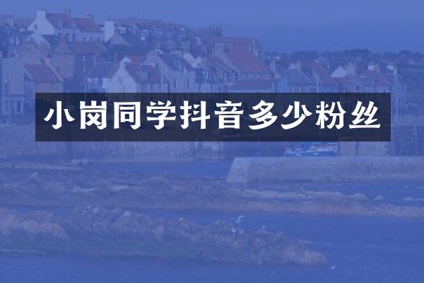 小岗同学抖音多少粉丝