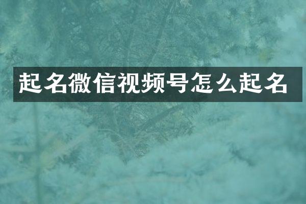 起名微信视频号怎么起名