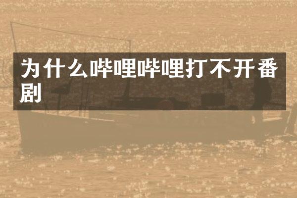 为什么哔哩哔哩打不开番剧