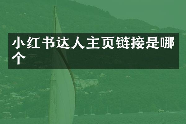 小红书达人主页链接是哪个