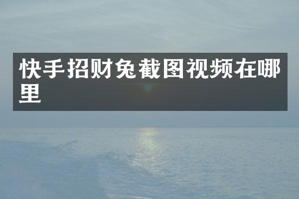 快手招财兔截图视频在哪里