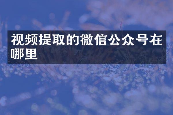 视频提取的微信公众号在哪里