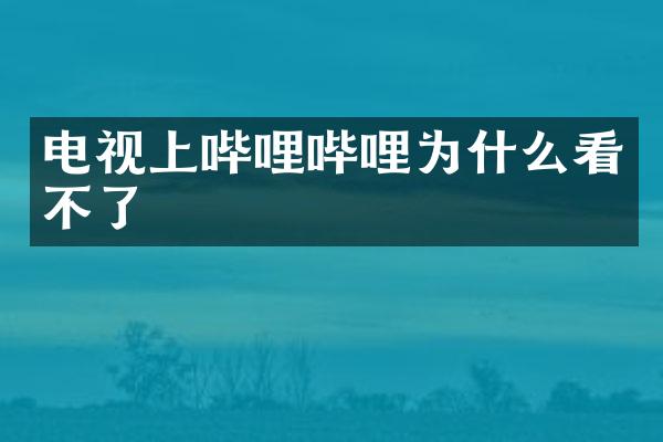 电视上哔哩哔哩为什么看不了