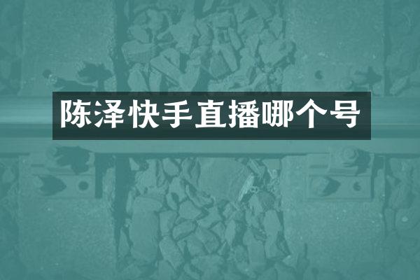 陈泽快手直播哪个号