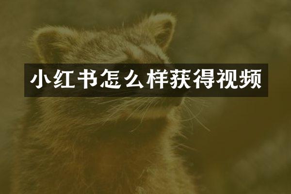 小红书怎么样获得视频