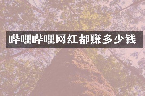 哔哩哔哩网红都赚多少钱