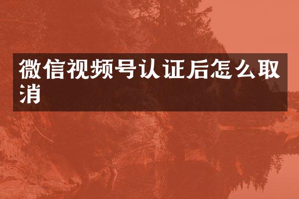 微信视频号认证后怎么取消