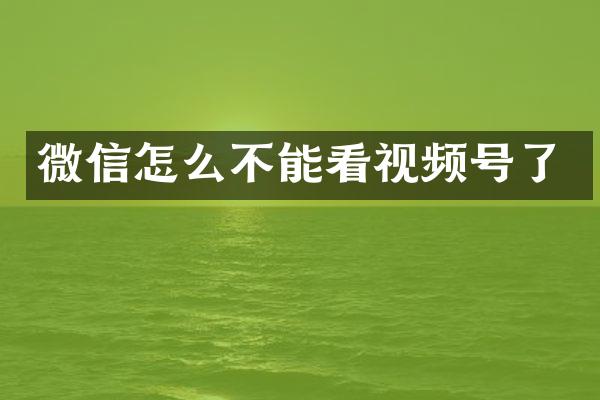 微信怎么不能看视频号了