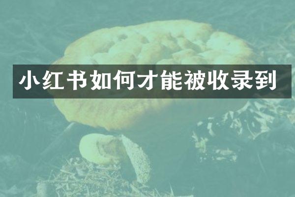 小红书如何才能被收录到