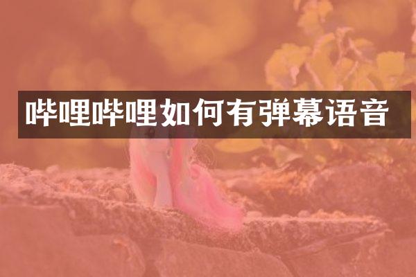 哔哩哔哩如何有弹幕语音