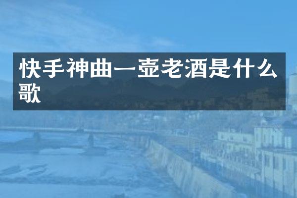 快手神曲一壶老酒是什么歌
