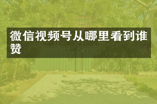 微信视频号从哪里看到谁赞