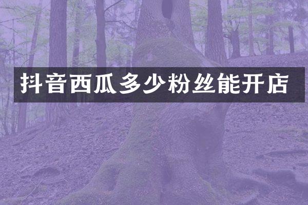 抖音西瓜多少粉丝能开店
