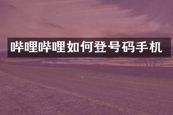 哔哩哔哩如何登号码手机