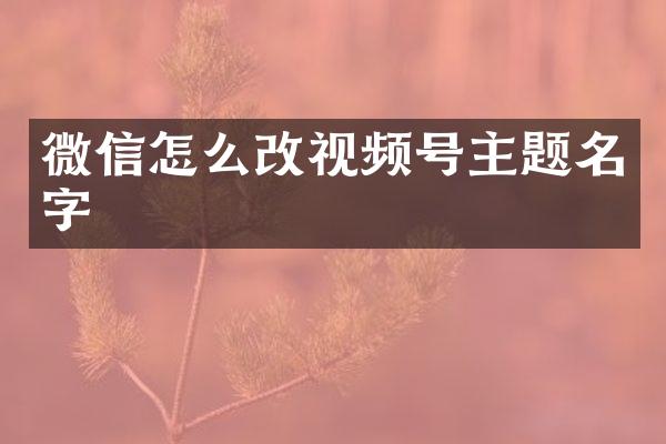 微信怎么改视频号主题名字