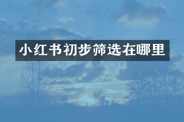 小红书初步筛选在哪里