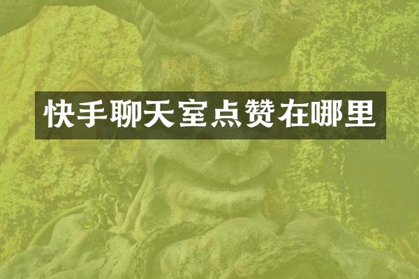 快手聊天室点赞在哪里