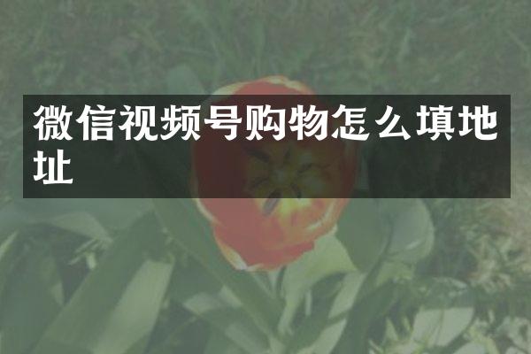 微信视频号购物怎么填地址